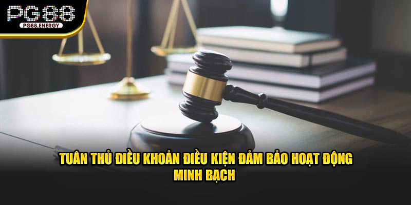 Tuân thủ điều khoản điều kiện đảm bảo hoạt động minh bạch 
